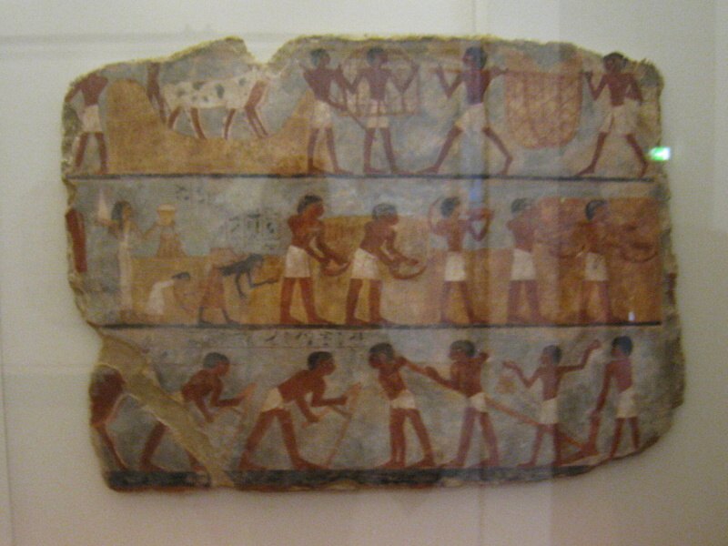 Egyptsk expozcia
