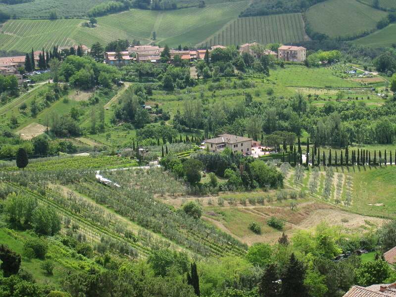 San Gimignano - vinice, olivov hje a tosknske vilky 2