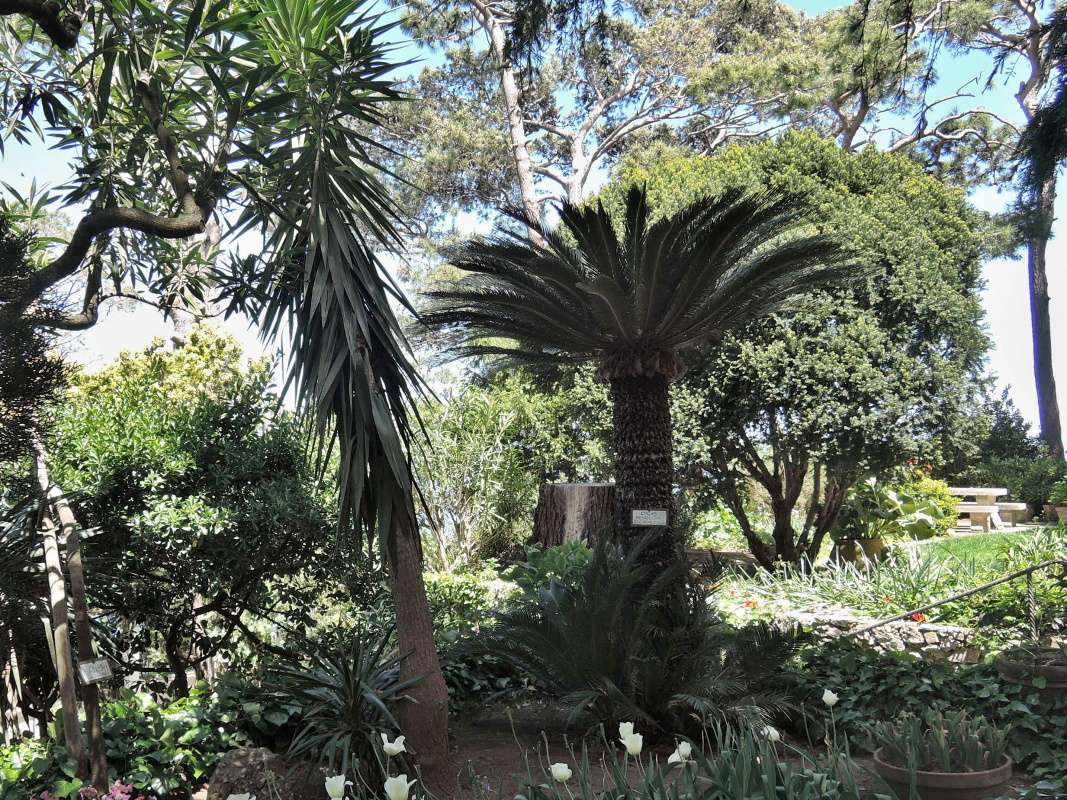 San Michele - zhrada