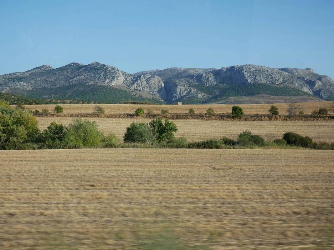 Krajina po ceste do Malagy - olivov hje a skaly