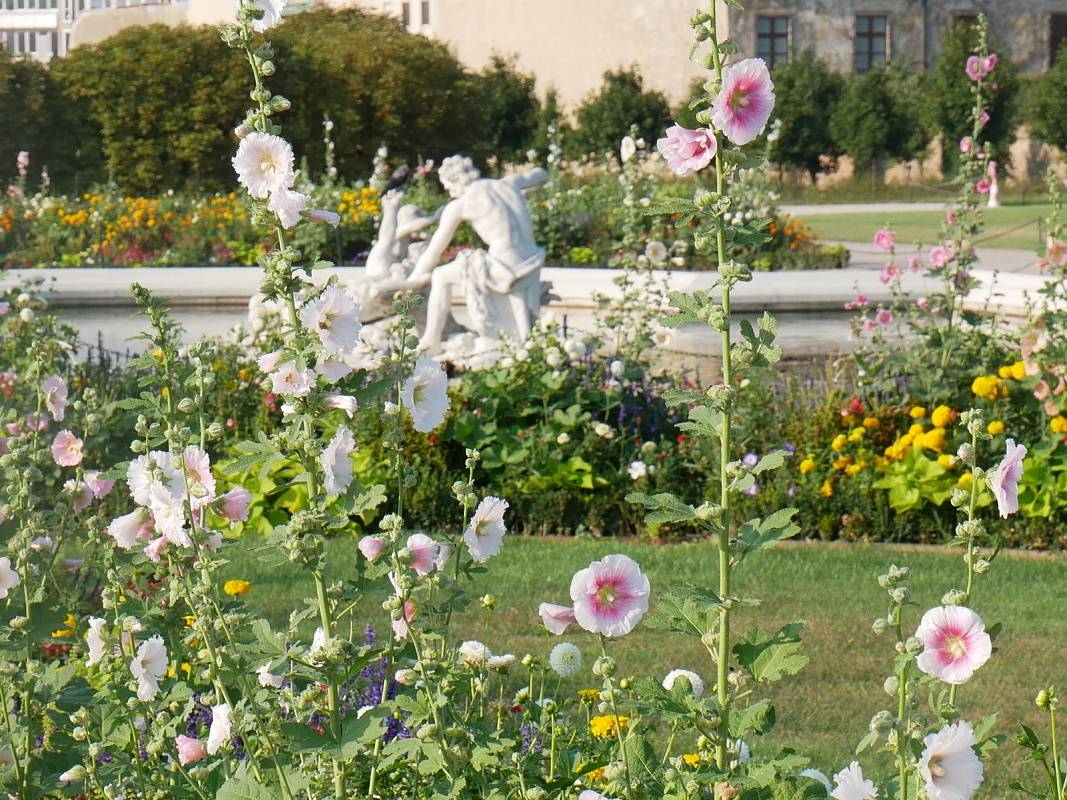 Kvetinov ndhera zhrad Belvedru