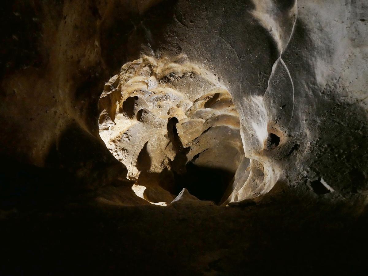 Jasovsk jaskya - studa