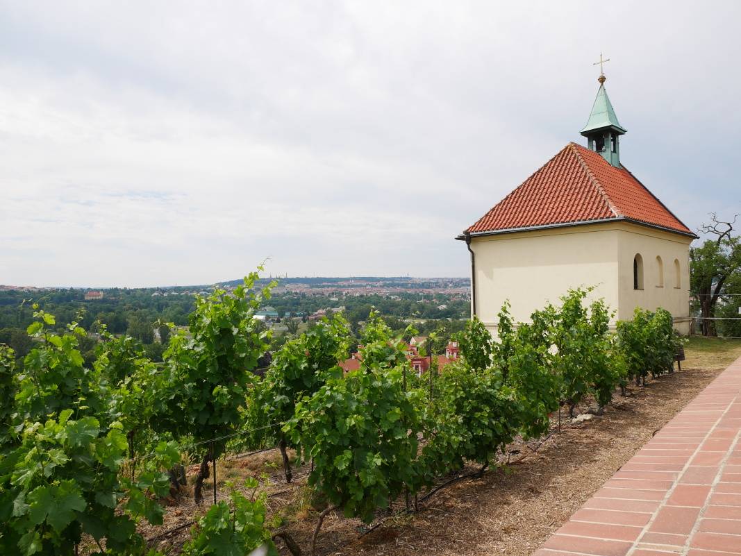 Vhad na vinice a Kaplnka sv. Klry