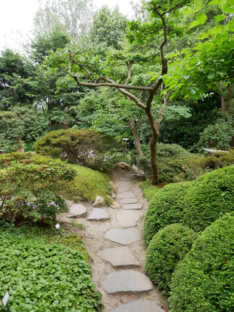 Japonsk zhrada