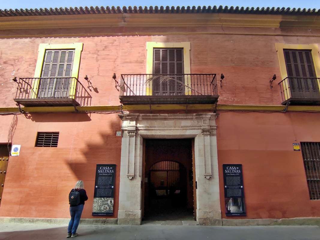 Dom Salinasovcov (Casa de Salinas)