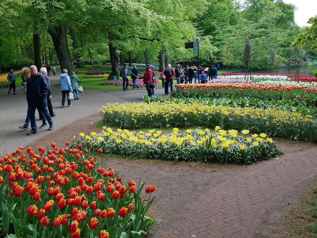 Keukenhof
