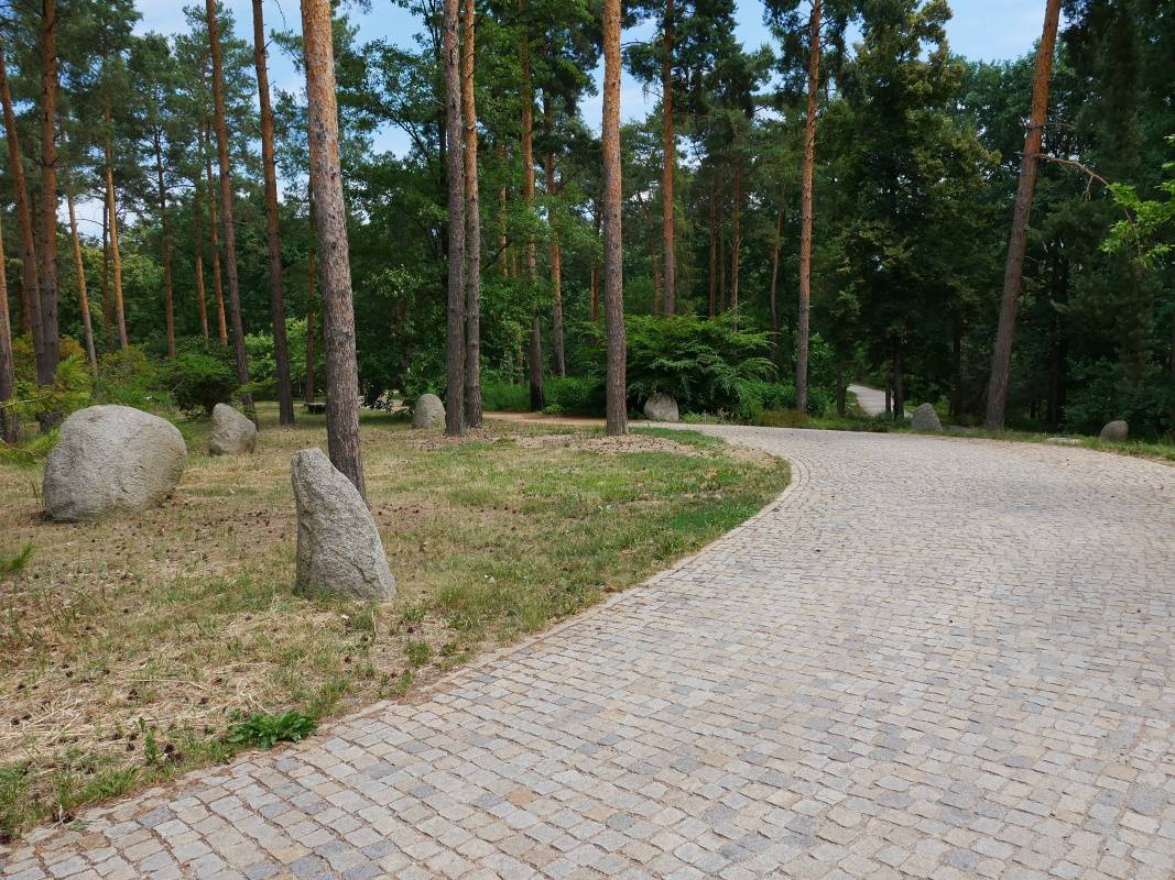 Lesy Severnej Ameriky so stonehengom - kamenným kruhom