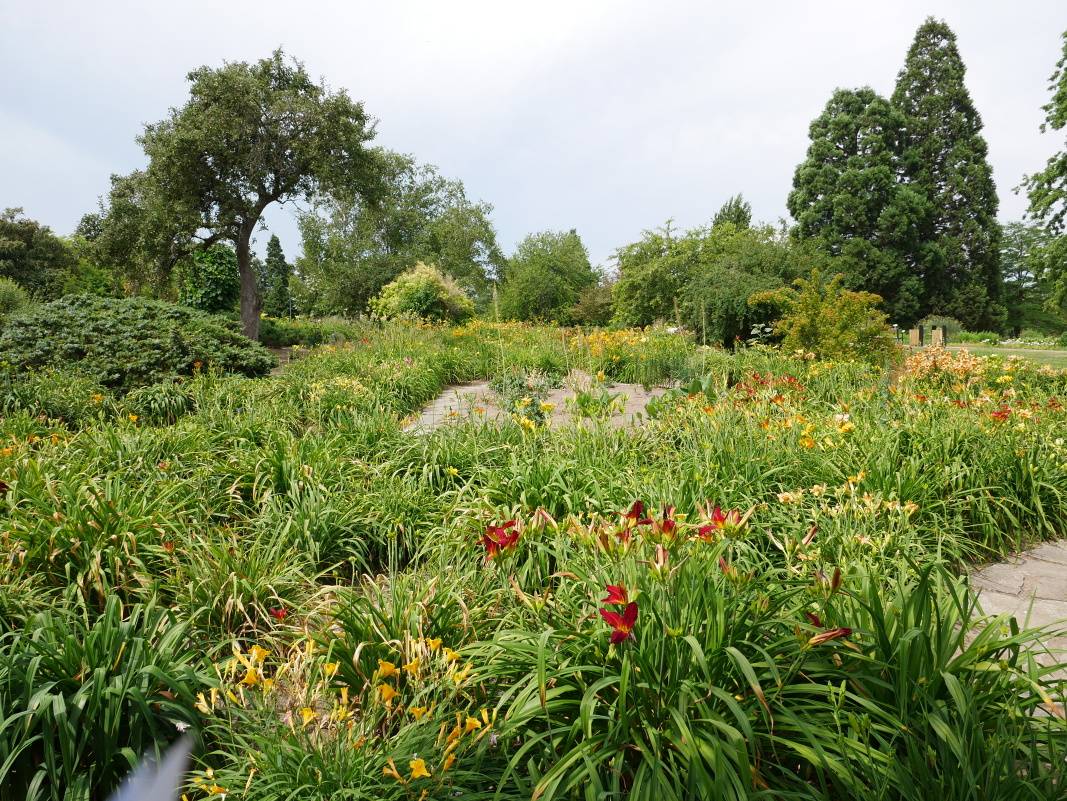 Ornamentálna záhrada