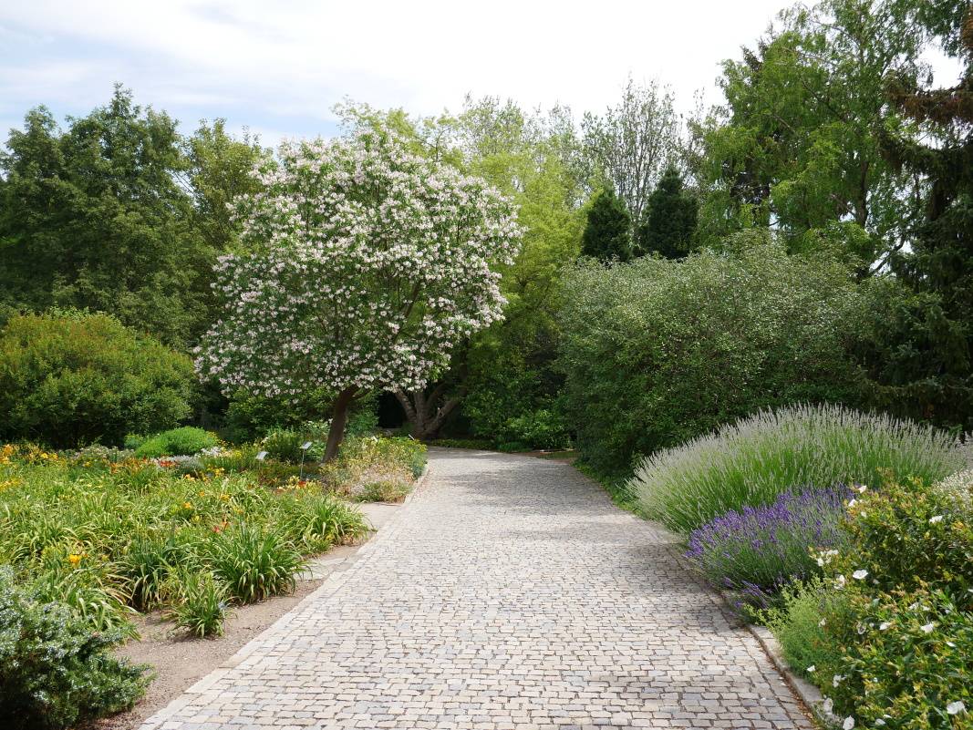 Cesta k Japonskej záhrade