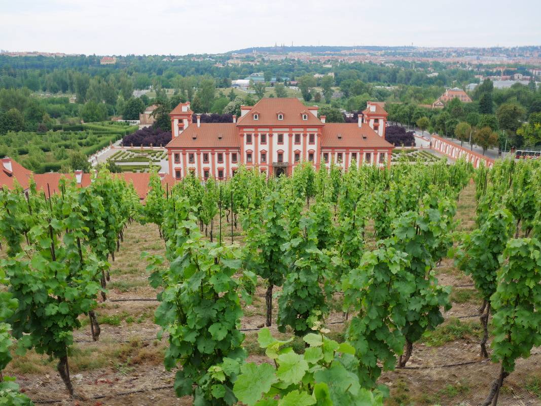 Výhľad na Trójsky zámok a jeho záhrady