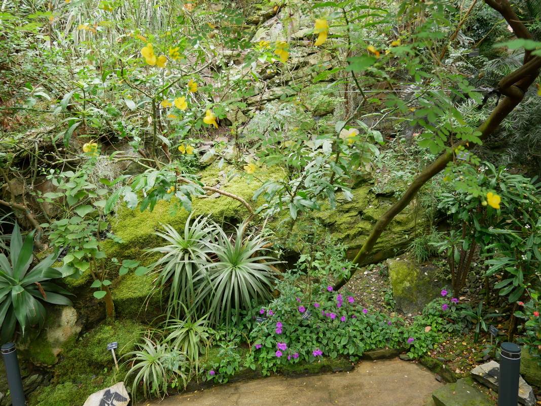 Skleník FataMorgana