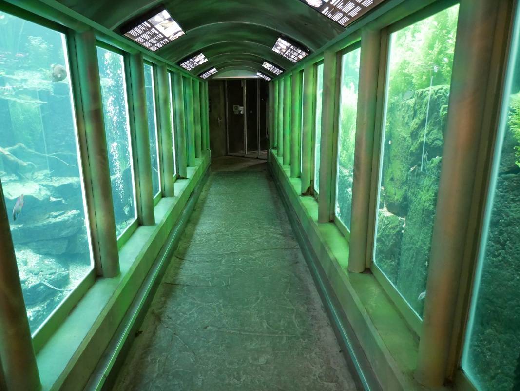 Skleník FataMorgana