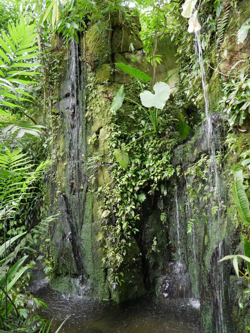 Skleník FataMorgana