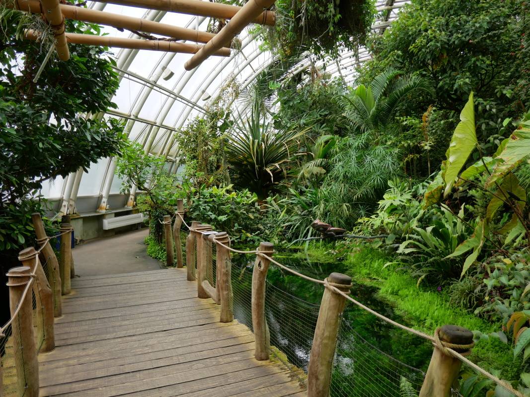 Skleník FataMorgana