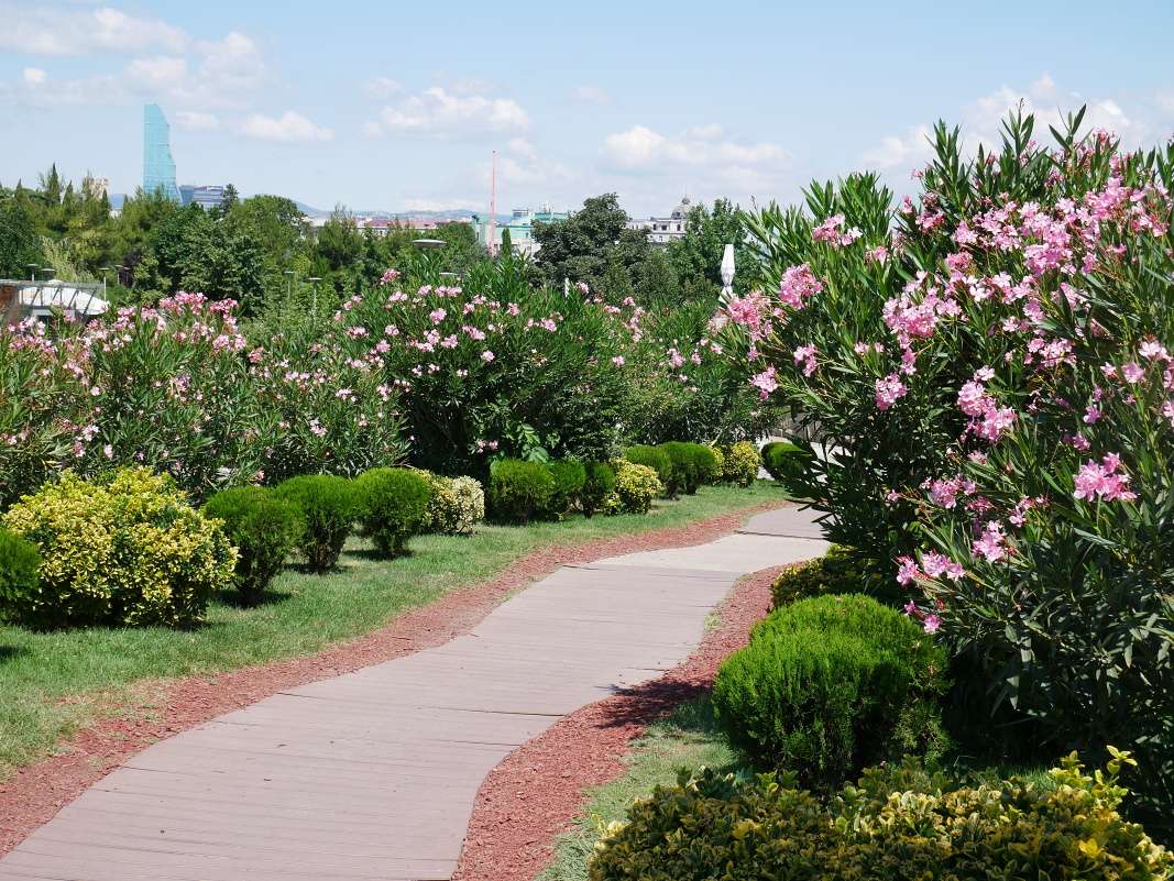 Mestský Rike Park