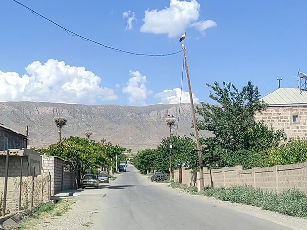 Surenavan - dedina bocianov