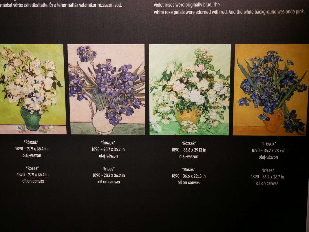Van Gogh Experince - život a dielo Vanb Gogha
