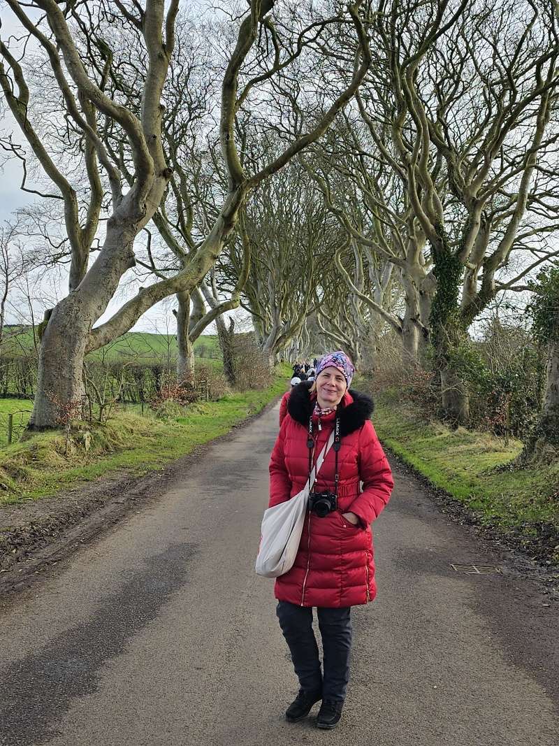 Dark Hedges