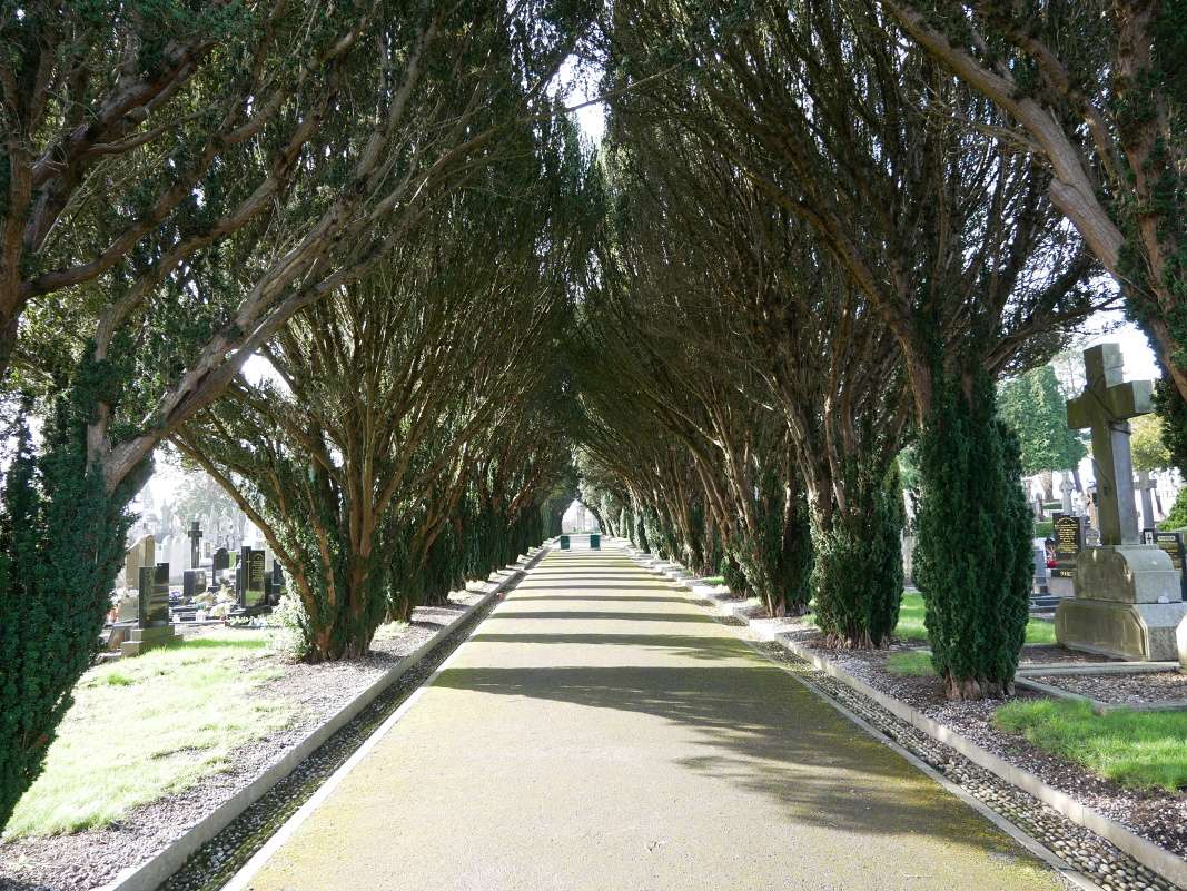 cintorín Glasnevin