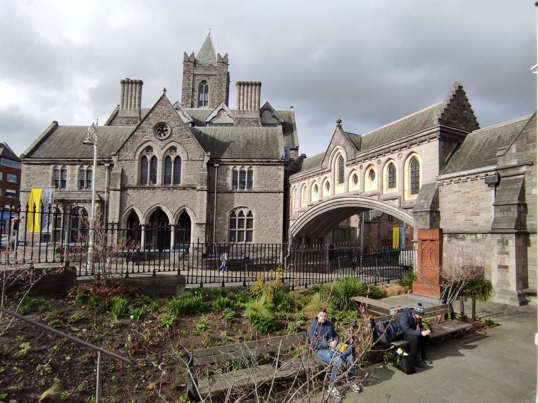 Dublinia