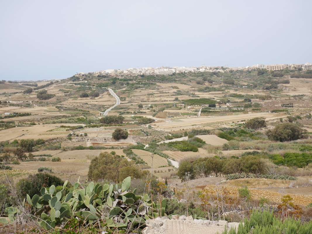 Gozo