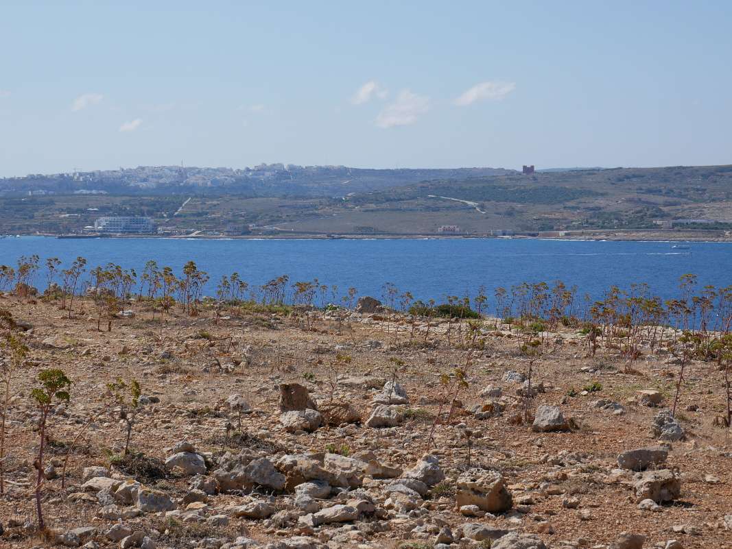 Comino - výhľad na Maltu od veže Santa Marija - Červená veža