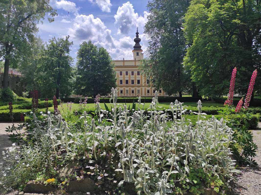 Park Markušovského kaštieľa