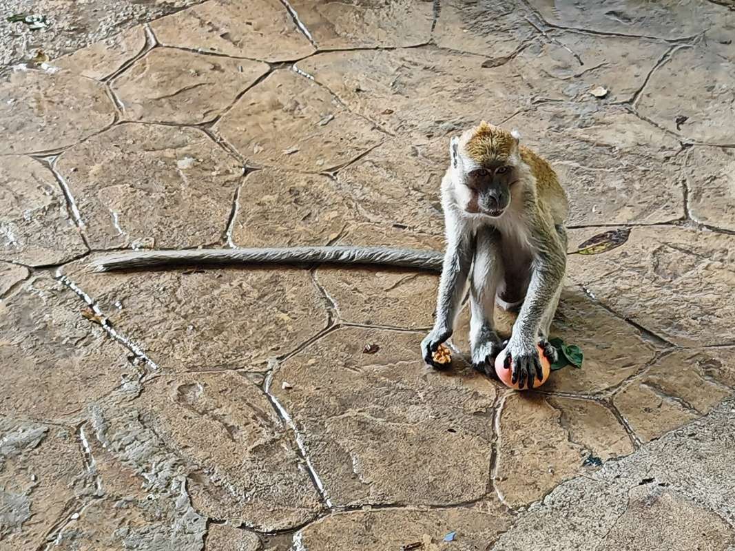 Batu Caves