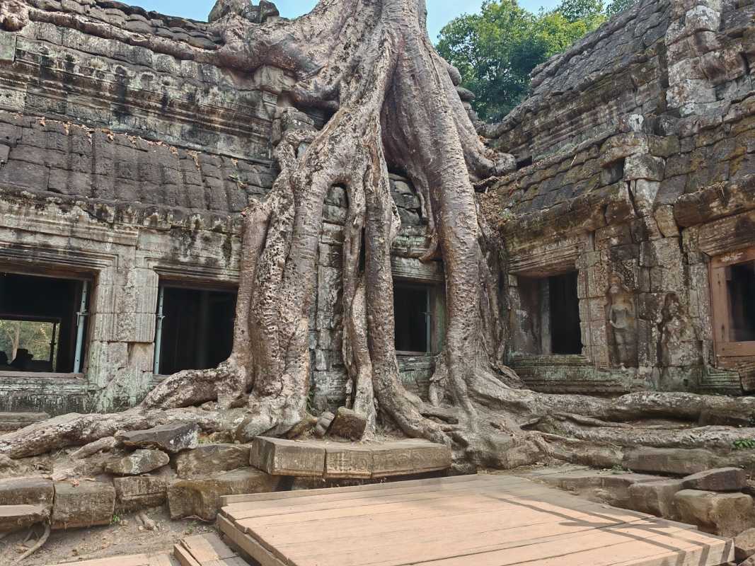Ta Prohm