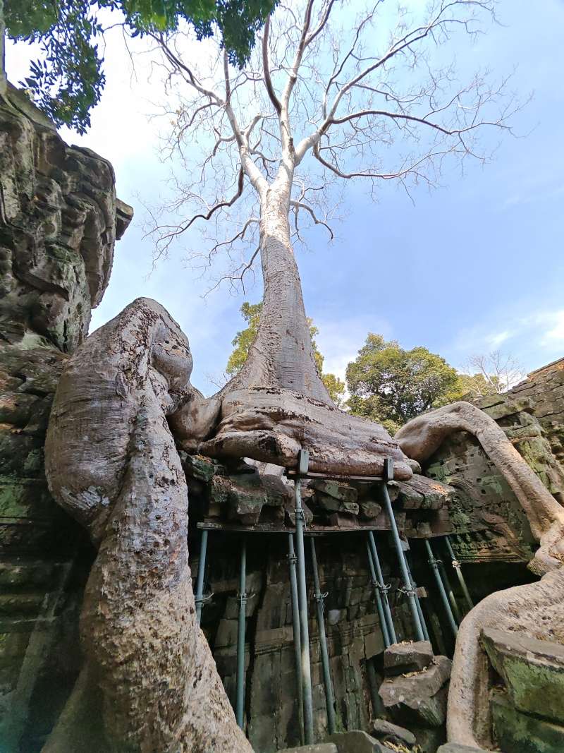Ta Prohm