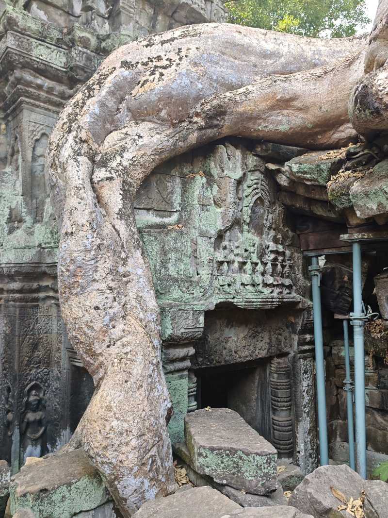 Ta Prohm