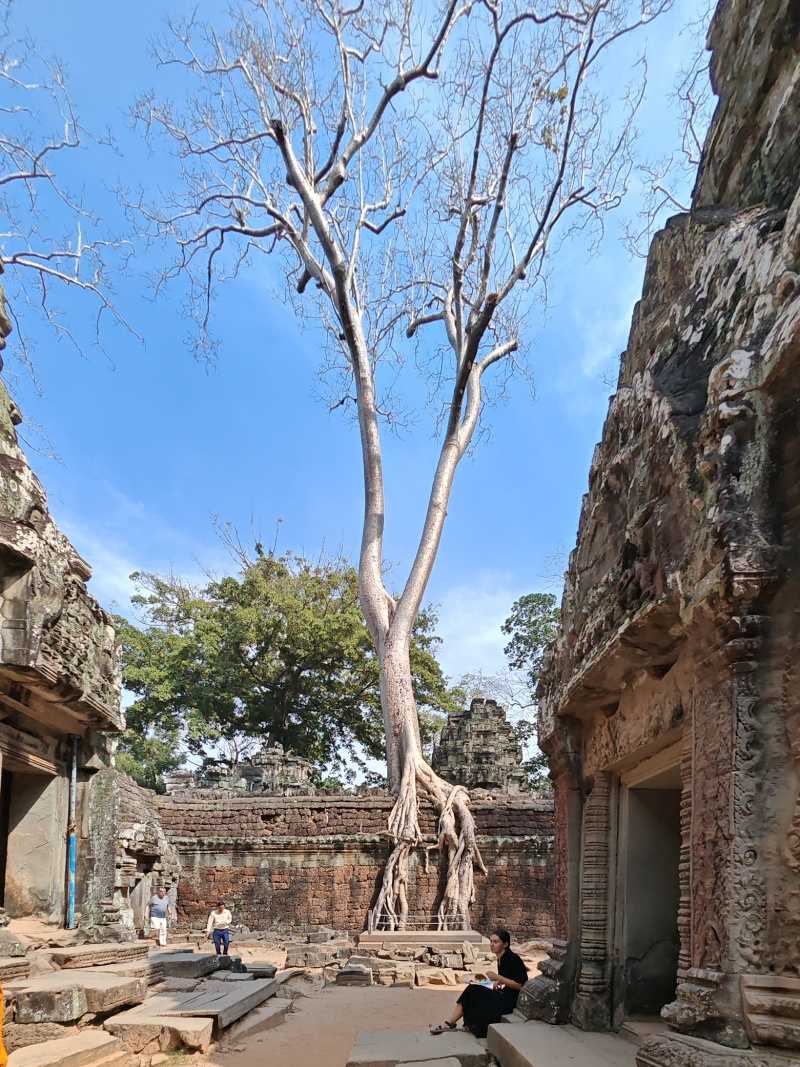 Ta Prohm