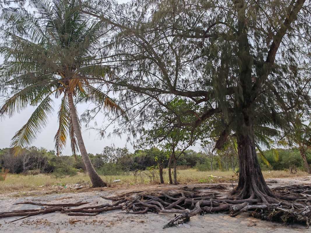 Pláž ostrova Koh Rong Sanloem