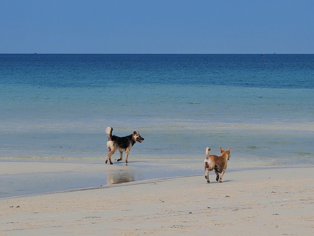 Pláž ostrova Koh Rong Sanloem