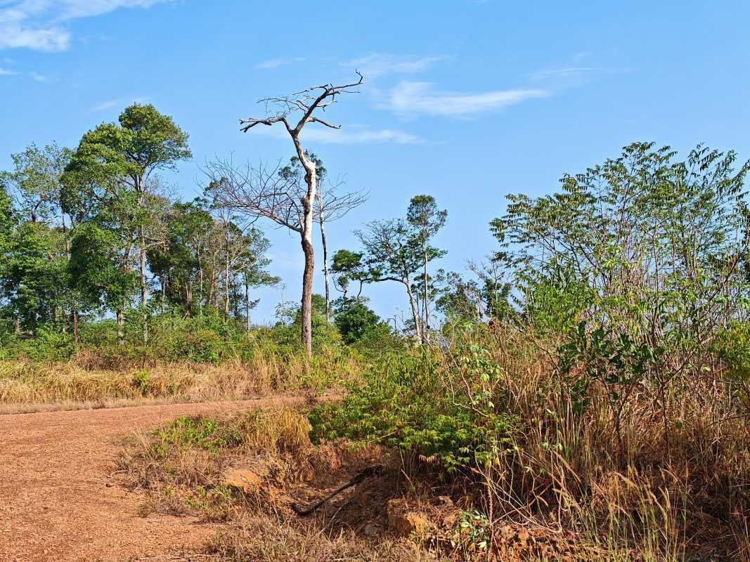 Jazda vnútrozemím ostrova na traktore