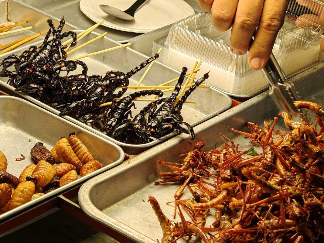 Ulica Khaosan - toho čierneho ochutnal Peťo