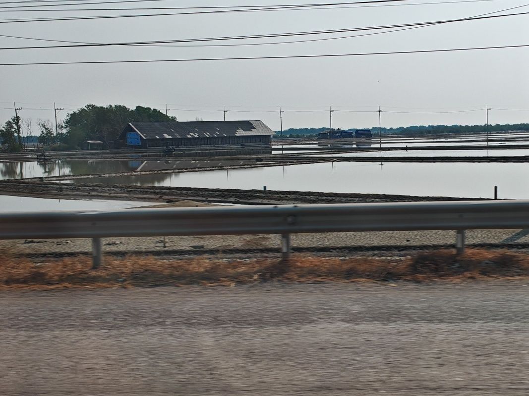 Autobus - soľné polia