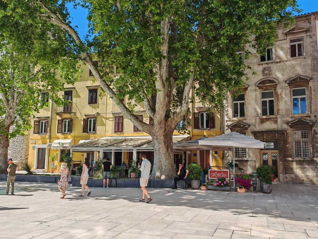 Námestie Petara Zoranića