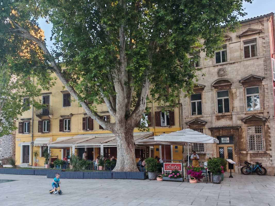 Opäť Námestie Petara Zoranića