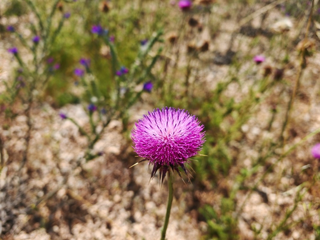 Ostrov Lavdara - zastávka na kúpanie