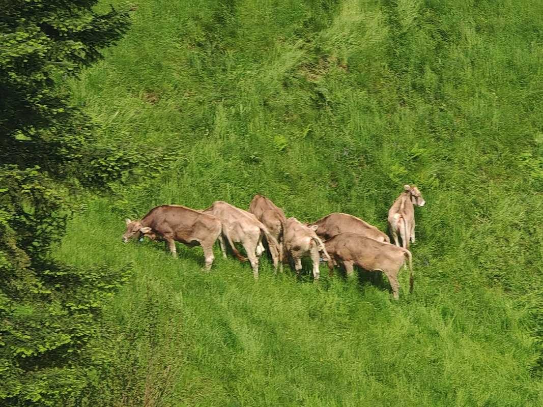 Z Kriens do Fräkmüntegg