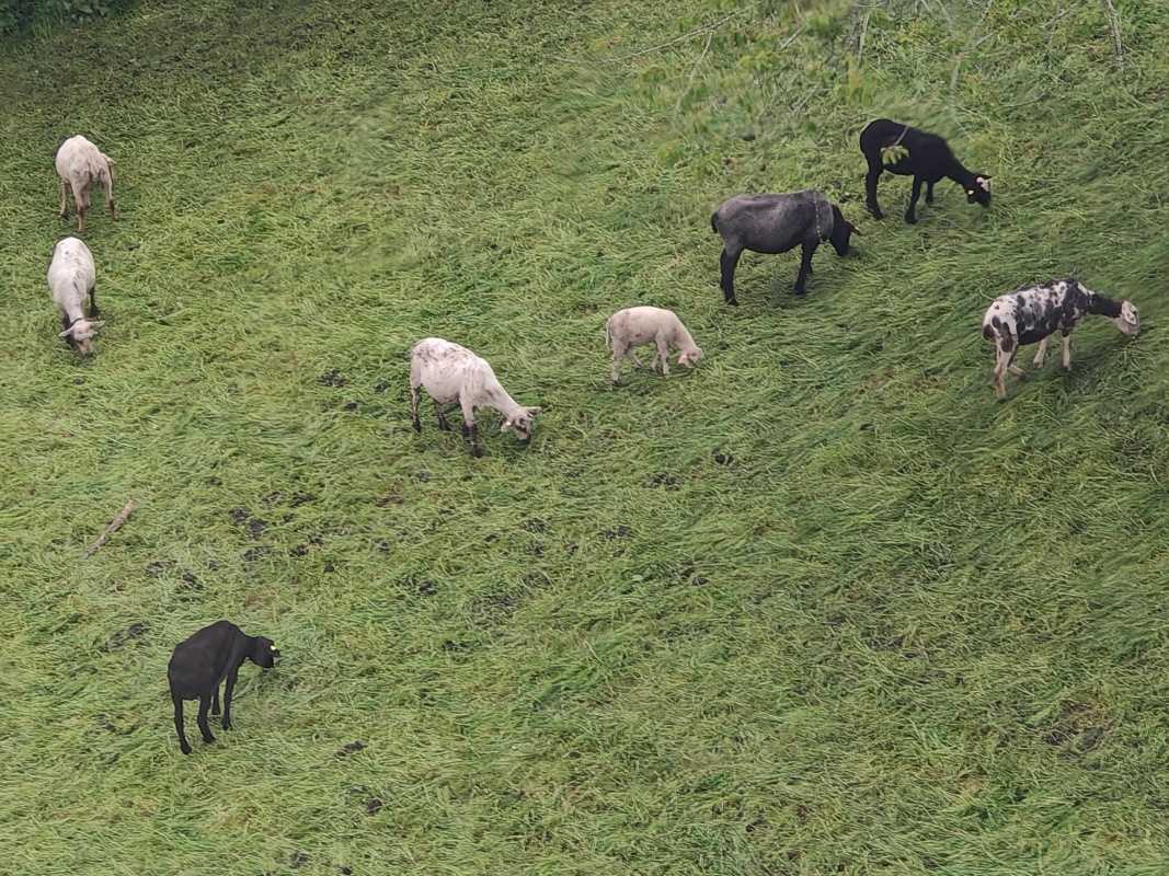 Z Kriens do Fräkmüntegg