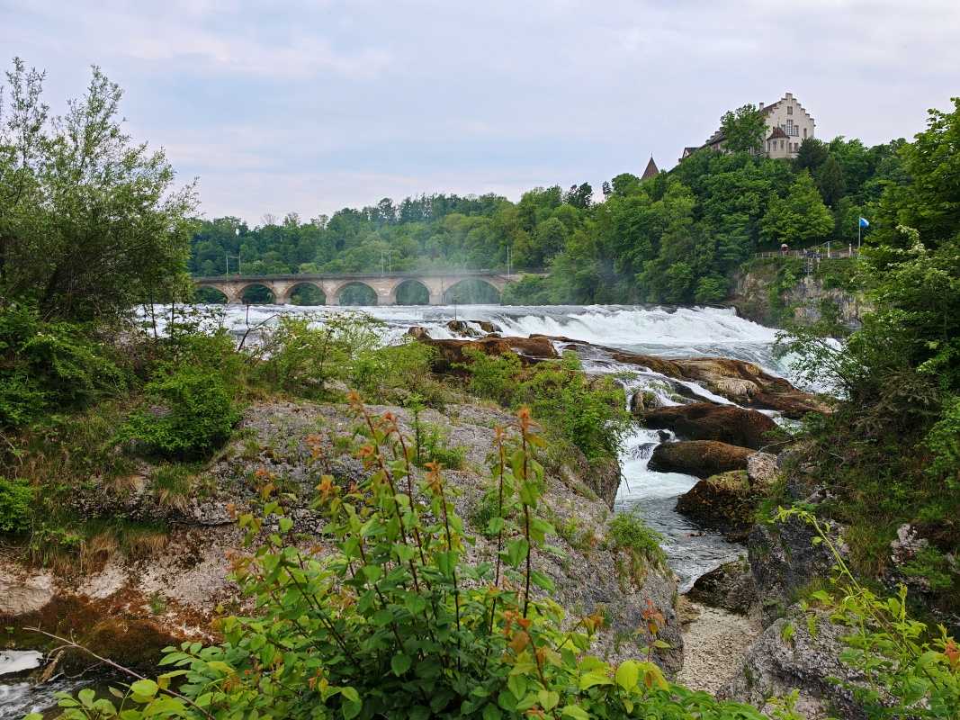 Cesta späť na vlak