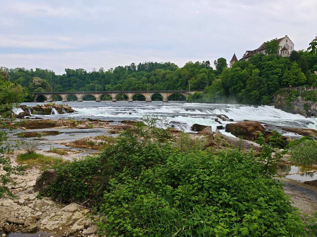 Cesta späť na vlak