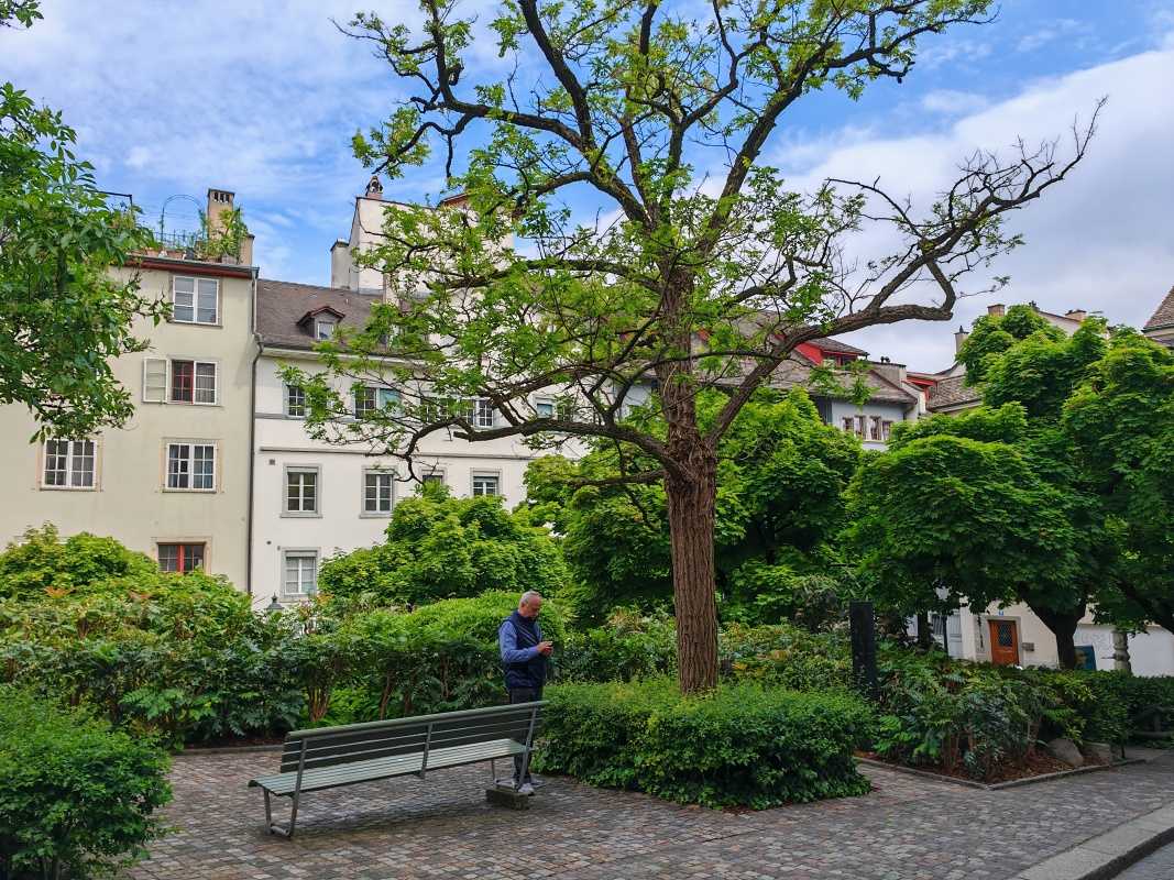 Park pre Leninovým domom, Spiegelgasse 14