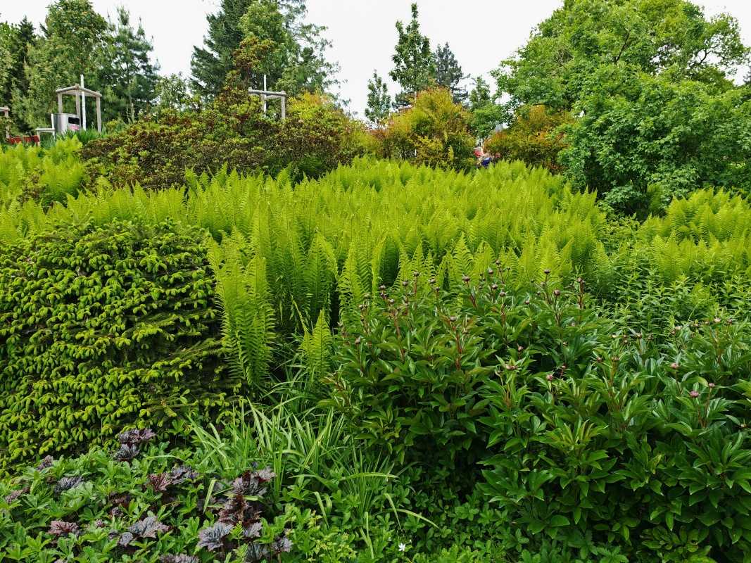 Po ceste k skleníkom ...