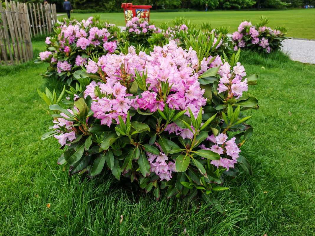 Po ceste k skleníkom ...