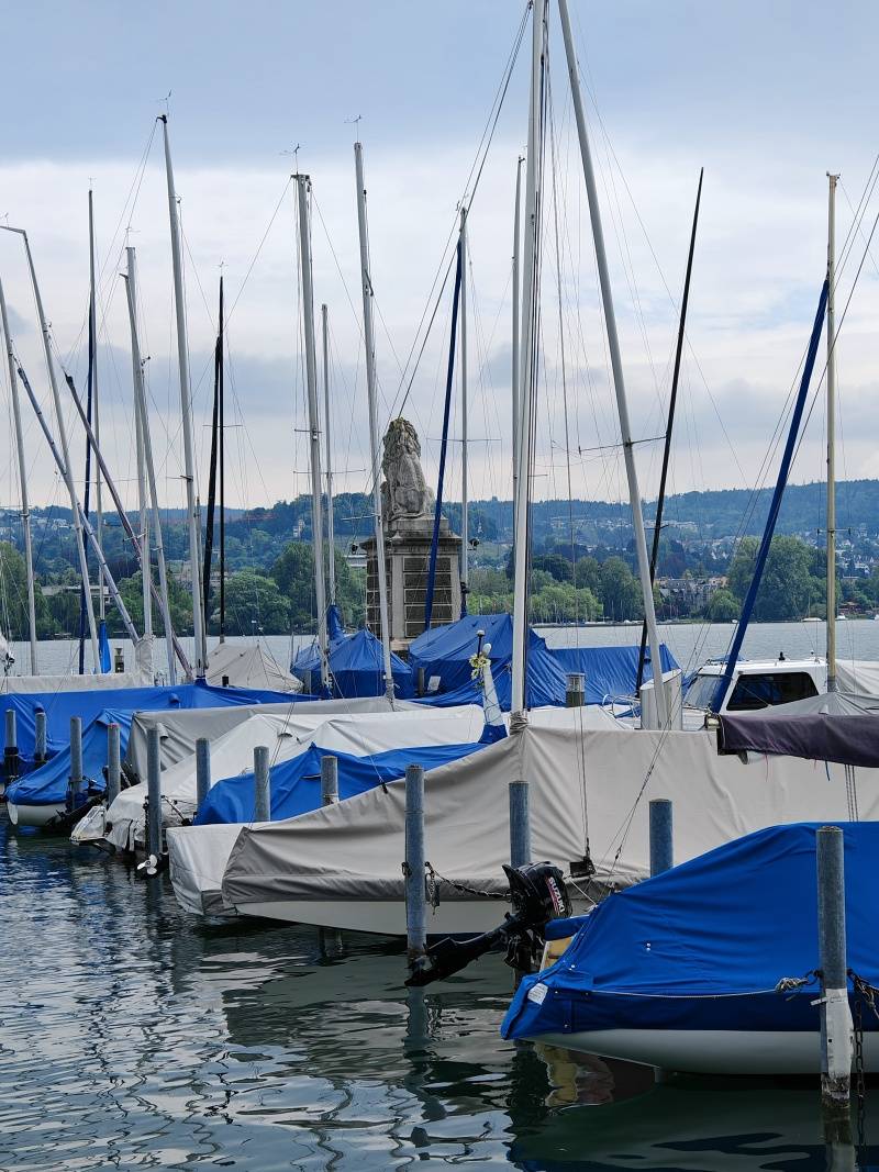 Lev strážiaci vstup do prístavu, Zürišské jazero