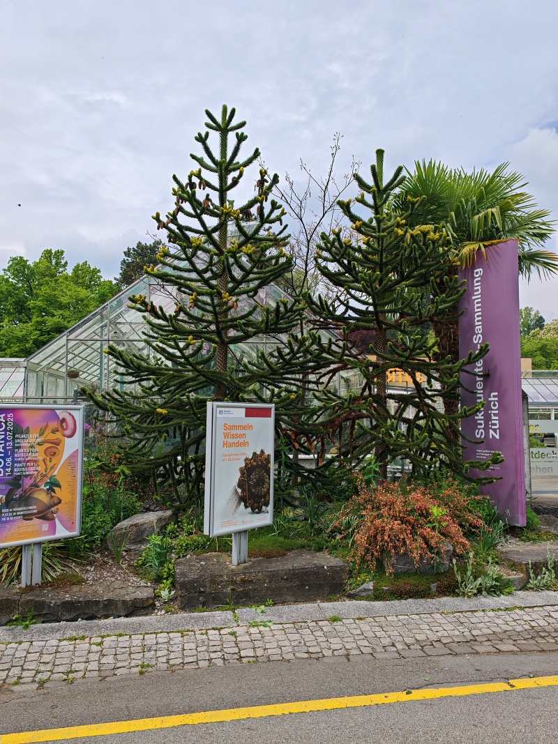 A sme tu - skleníky so sukulentami