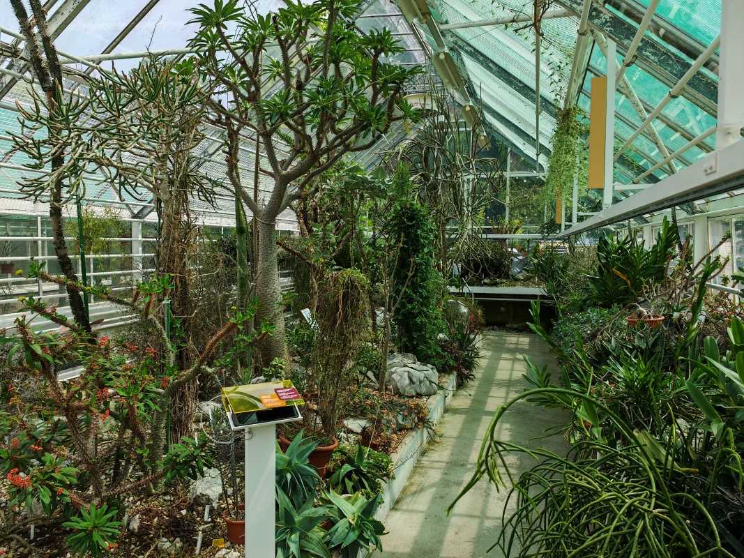 Skleníky so sukulentami